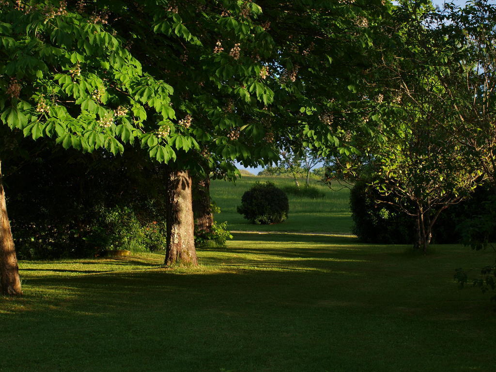 Lacassagne Bed and Breakfast Larressingle Esterno foto